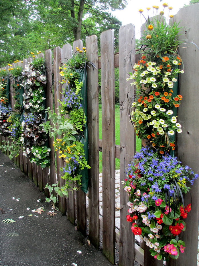 Macizo de flores en la valla