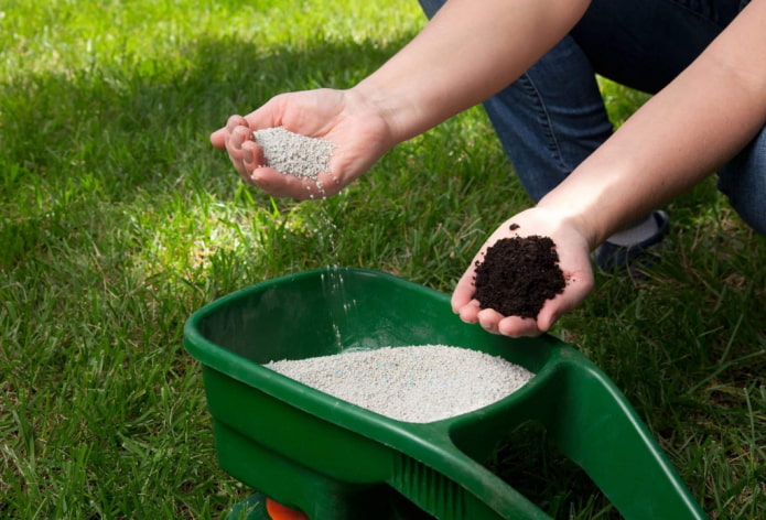 Fertilización del césped