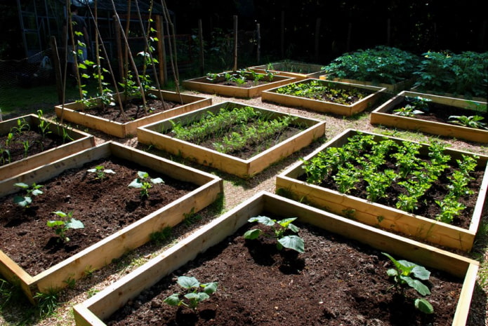 camas de jardín cuadradas