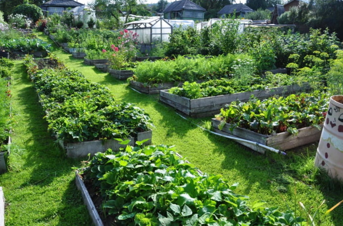 camas de tablas en el jardín