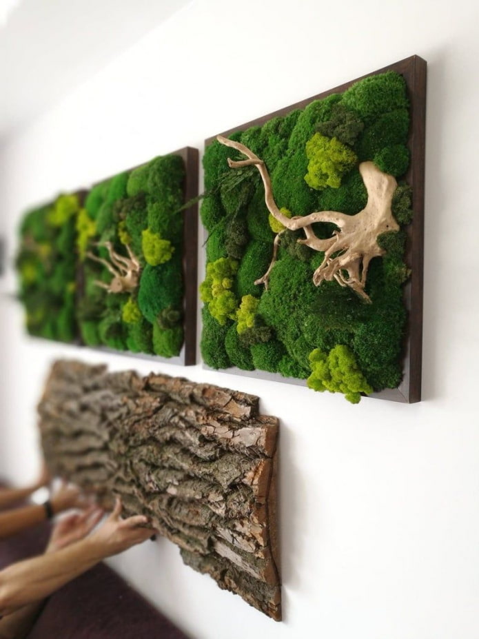 Moss triptych