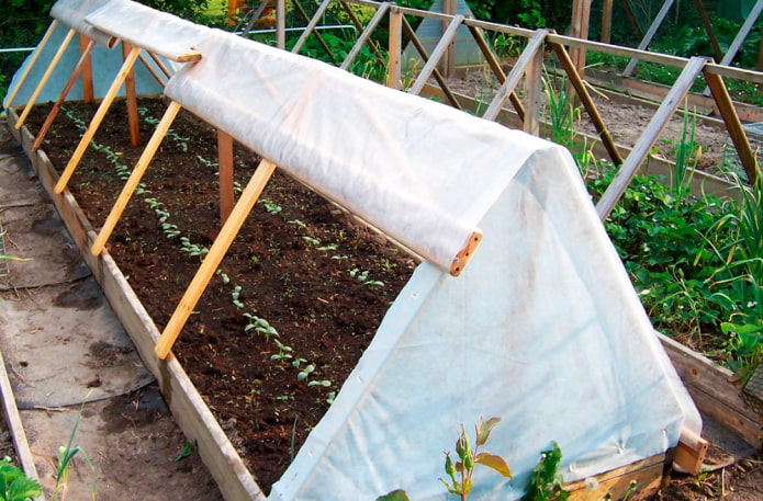 Triangular greenhouse