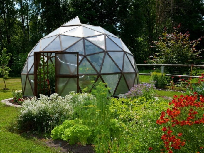 Dome greenhouse