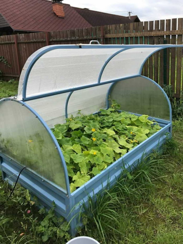 Semicircular greenhouse