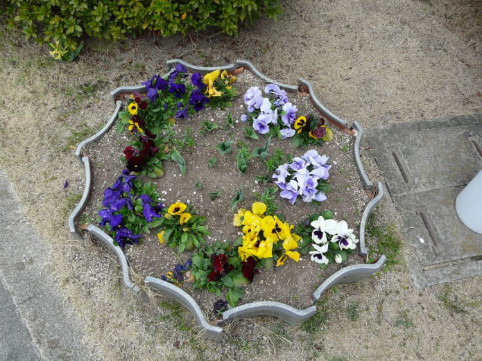 borde de mosaico para un macizo de flores redondo