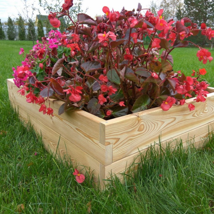 cama de flores cuadrada con borde de tablero sin pintar