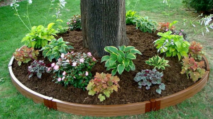 borde redondo para un macizo de flores hecho de tablas conectadas por bucles de hierro