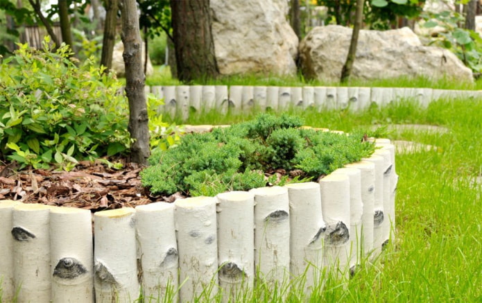 un borde para un jardín de flores de estacas de abedul