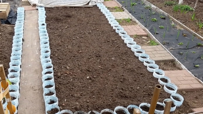 Borde de grandes botellas de plástico cortadas para plantar flores.