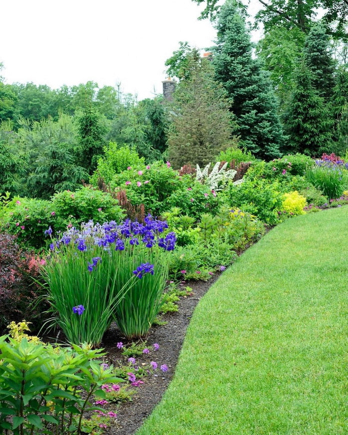 macizo de flores en estilo inglés