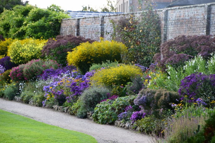 Meadow mixborder