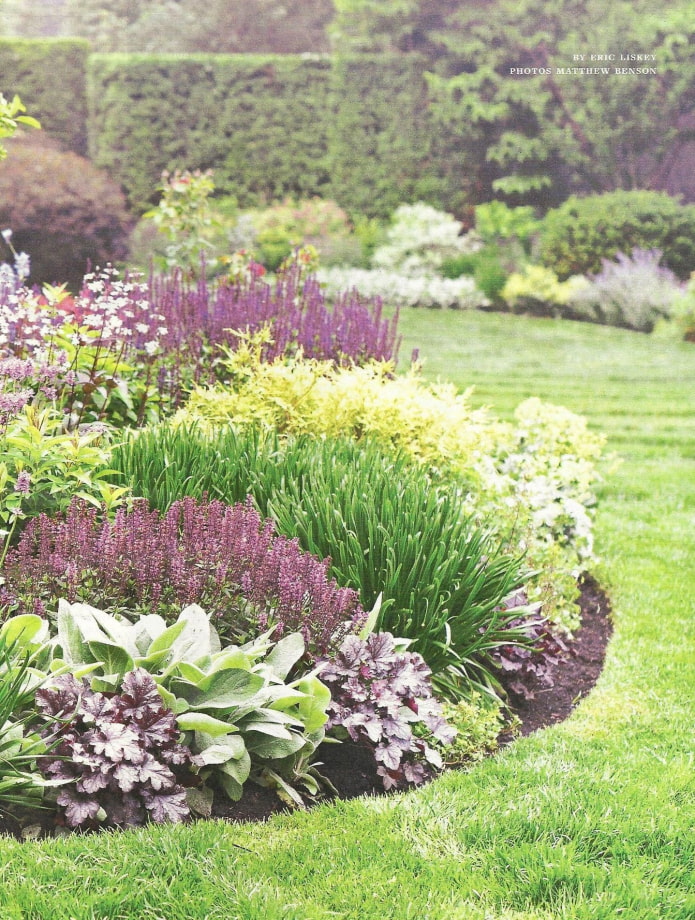 plantas bajas para mixborder