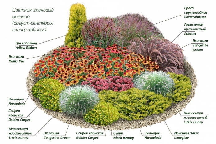 plantas perennes para mixborder