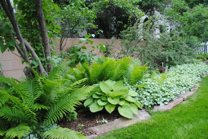 Jardín de bajo mantenimiento