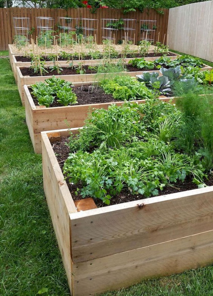 Camas de jardín con lados de madera