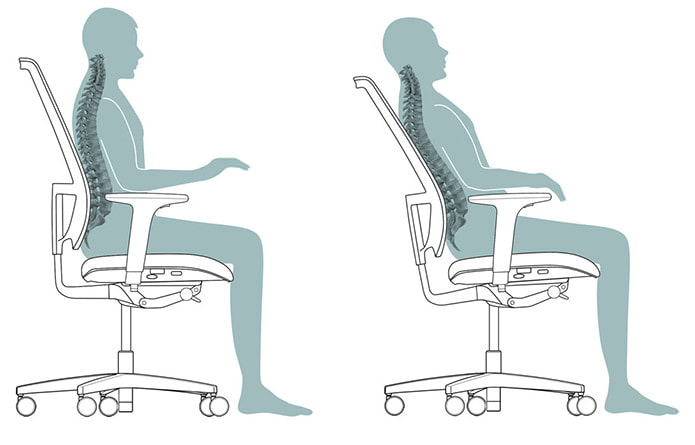 La columna vertebral al sentarse en una silla de oficina.