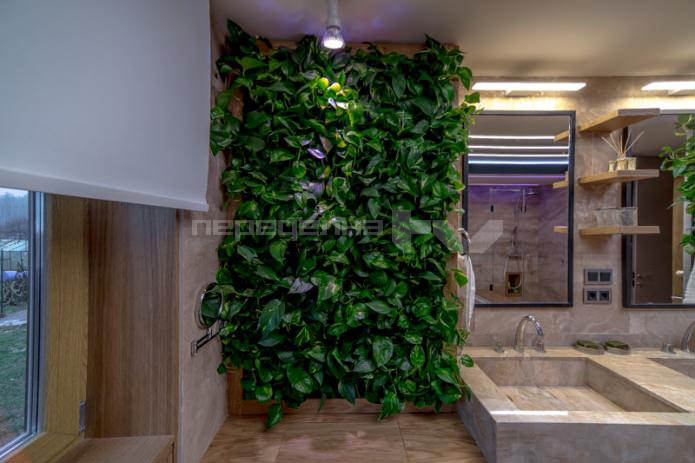 Plantas vivas en las paredes del interior del baño.