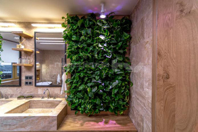 Plantas vivas en las paredes del interior del baño.