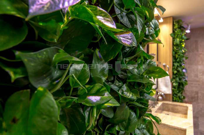 Plantas vivas en las paredes del interior del baño.