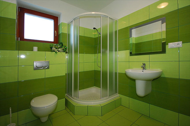 Foto de un baño verde