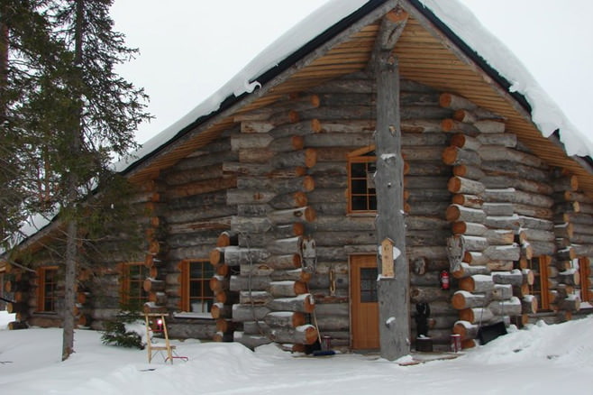 casas de pino muerto