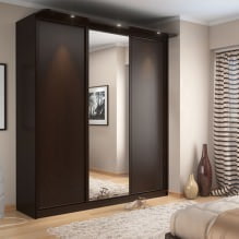 Mga pagpipilian para sa disenyo ng mga harapan ng mga pintuan ng sliding wardrobe-10