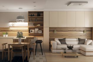 Diseño de una cocina-sala de estar en un apartamento: 7 proyectos modernos