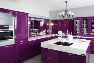 Morado en la cocina: diseño, combinaciones, elección de estilo, papel tapiz y cortinas.