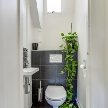 Interior de baño pequeño: características, diseño, color, estilo, más de 100 fotos-0