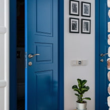 Puertas en estilo escandinavo: tipos, color, diseño y decoración, elección de accesorios-2