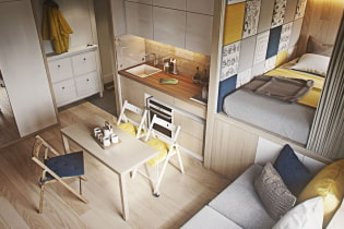 Disenyo ng studio apartment 20 sq. m. - larawan ng interior, pagpipilian ng kulay, ilaw, mga ideya ng pag-aayos