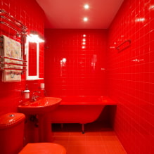 Baño rojo: diseño, combinaciones, cortinas, plomería, ejemplos de acabado de inodoros-0