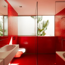 Baño rojo: diseño, combinaciones, cortinas, plomería, ejemplos de acabado de inodoros-1