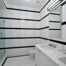 Baño blanco y negro: elección de acabados, plomería, muebles, diseño de inodoro-8