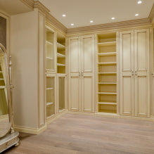 ¿Cómo equipar un vestidor? Diseño, foto en el interior. -5