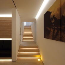 Iluminación de escaleras en la casa: fotos reales y ejemplos de iluminación-4