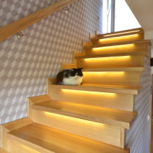 Iluminación de escaleras en la casa: fotos reales y ejemplos de iluminación-8