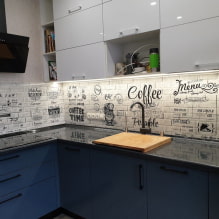 Decorar la cocina con paneles de pvc: pros y contras, aplicaciones, ideas de diseño-1