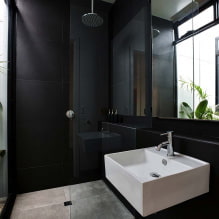 Baño negro: fotos y secretos de diseño-5