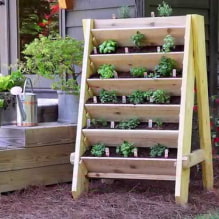 ¿Cómo organizar un macizo de flores de varios niveles en una cabaña de verano? -0