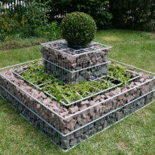 ¿Cómo organizar un macizo de flores de varios niveles en una cabaña de verano? -2