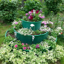 ¿Cómo organizar un macizo de flores de varios niveles en una cabaña de verano? -5