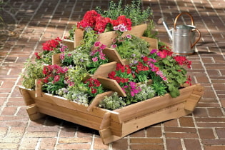 ¿Cómo organizar un macizo de flores de varios niveles en una cabaña de verano?