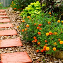 ¿Cómo decorar hermosos senderos de jardín para una residencia de verano? -8