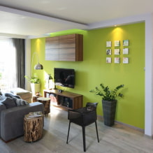 Ejemplos de decoración de interiores en verde-6