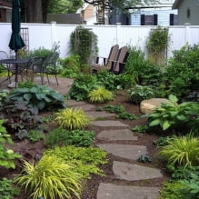 ¿Cómo organizar un diseño de paisaje para una cabaña de verano de 4 áreas? -3