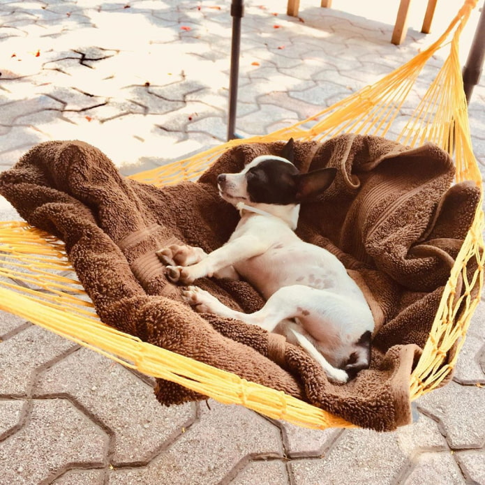 Cómo colgar una hamaca en una casa de campo sin árboles