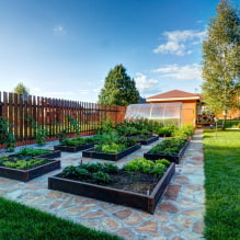 Registro de diseño de paisaje de una cabaña de verano-7.