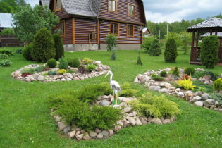 Registro de diseño de paisaje de una casa de verano.