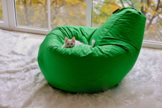 Cómo elegir un sillón puf para que su hogar no solo sea acogedor, sino también elegante